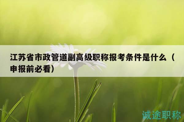 江苏省市政管道副高级职称报考条件是什么（申报前必看）