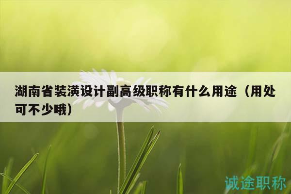 湖南省装潢设计副高级职称有什么用途（用处可不少哦）