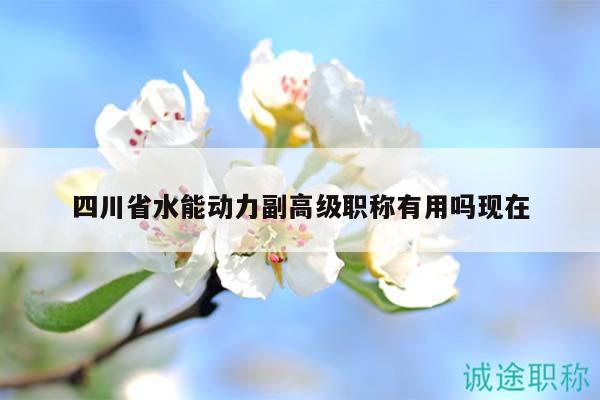 四川省水能动力副高级职称有用吗现在