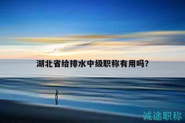 湖北省给排水中级职称有用吗？