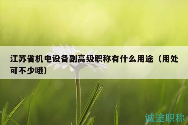江苏省机电设备副高级职称有什么用途（用处可不少哦）