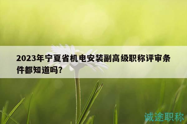 2023年宁夏省机电安装副高级职称评审条件都知道吗？