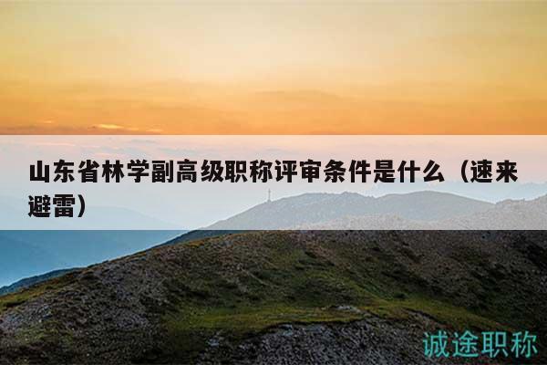 山东省林学副高级职称评审条件是什么（速来避雷）