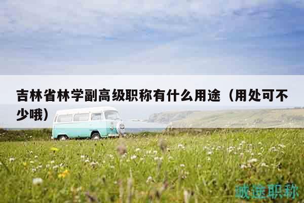 吉林省林学副高级职称有什么用途（用处可不少哦）