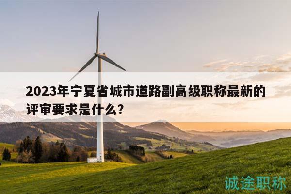 2023年宁夏省城市道路副高级职称最新的评审要求是什么？