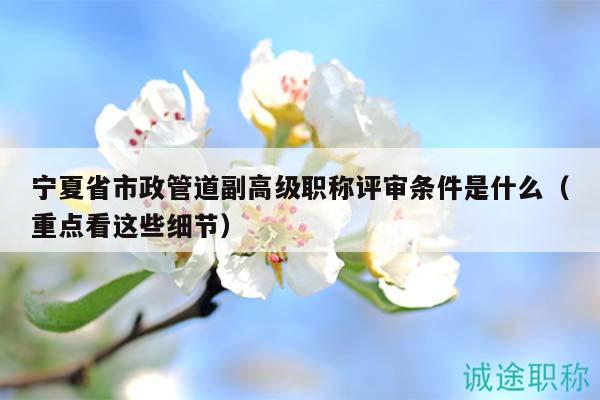宁夏省市政管道副高级职称评审条件是什么（重点看这些细节）