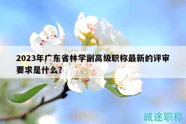2023年广东省林学副高级职称最新的评审要求是什么？