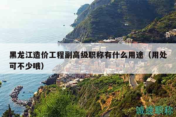 黑龙江造价工程副高级职称有什么用途（用处可不少哦）
