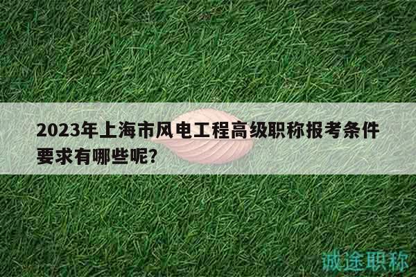 2023年上海市风电工程高级职称报考条件要求有哪些呢？