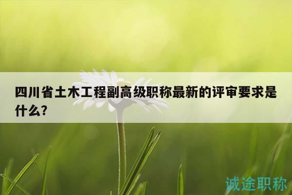 四川省土木工程副高级职称最新的评审要求是什么？