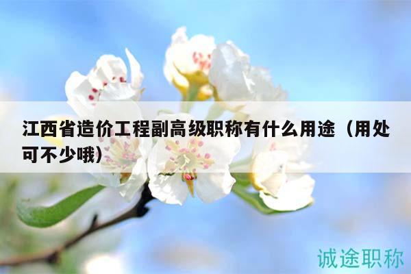 江西省造价工程副高级职称有什么用途（用处可不少哦）