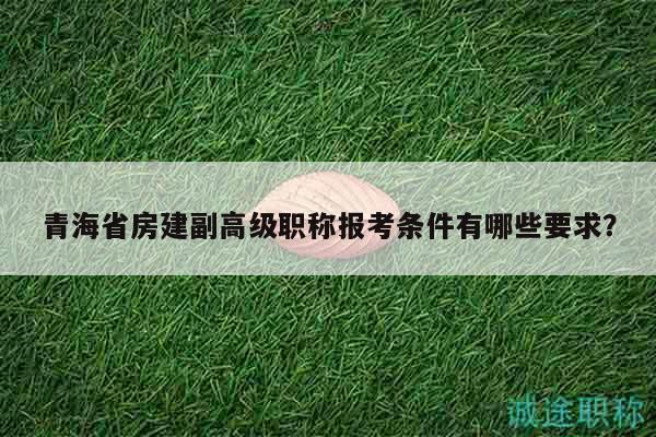 青海省房建副高级职称报考条件有哪些要求？