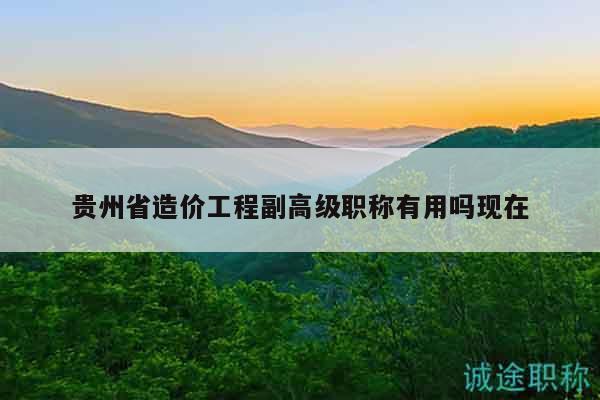 贵州省造价工程副高级职称有用吗现在