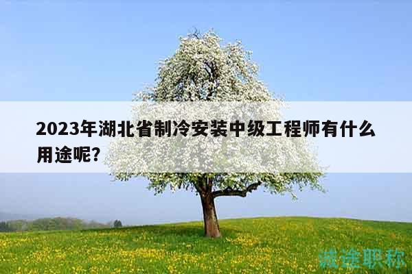 2023年湖北省制冷安装中级工程师有什么用途呢？