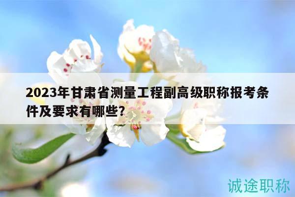 2023年甘肃省测量工程副高级职称报考条件及要求有哪些？