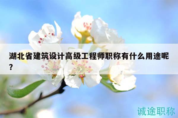 湖北省建筑设计高级工程师职称有什么用途呢？
