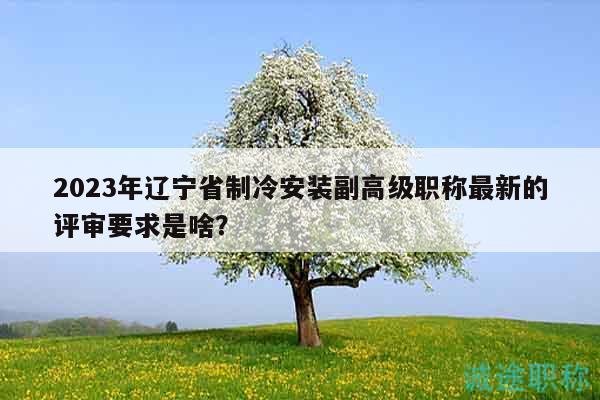 2023年辽宁省制冷安装副高级职称最新的评审要求是啥？