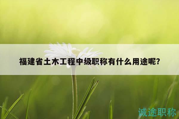 福建省土木工程中级职称有什么用途呢？