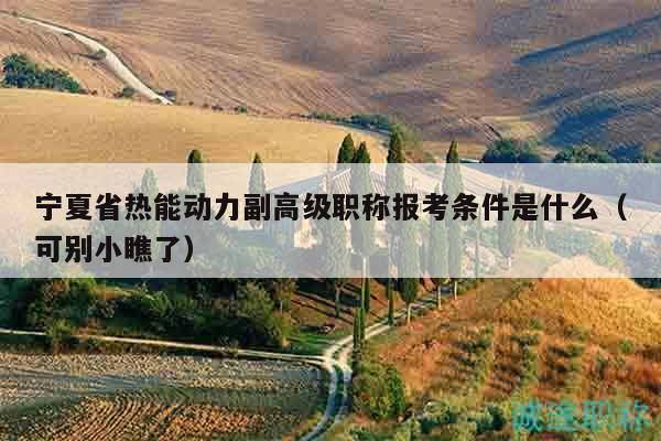 宁夏省热能动力副高级职称报考条件是什么（可别小瞧了）