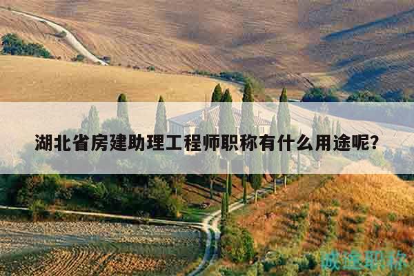 湖北省房建助理工程师职称有什么用途呢？