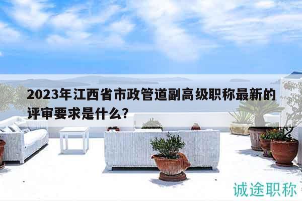 2023年江西省市政管道副高级职称最新的评审要求是什么？