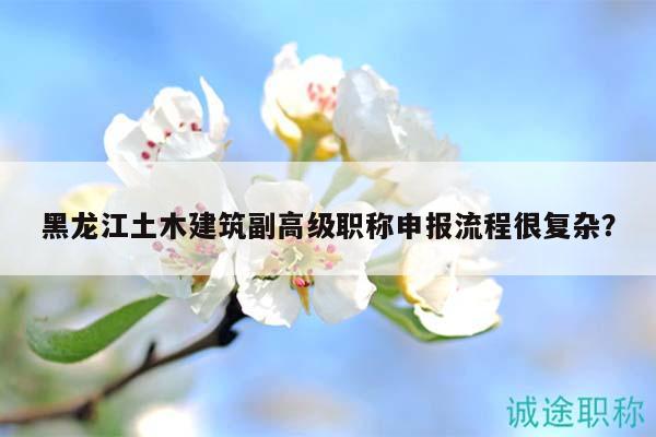 黑龙江土木建筑副高级职称申报流程很复杂？