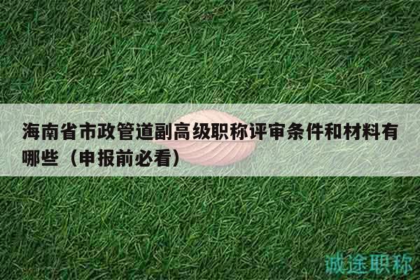 海南省市政管道副高级职称评审条件和材料有哪些（申报前必看）