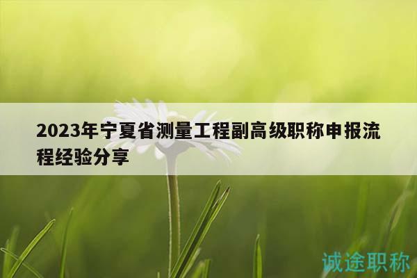 2023年宁夏省测量工程副高级职称申报流程经验分享