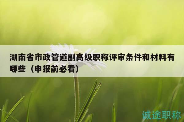 湖南省市政管道副高级职称评审条件和材料有哪些（申报前必看）