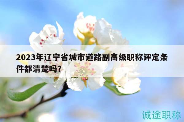 2023年辽宁省城市道路副高级职称评定条件都清楚吗？