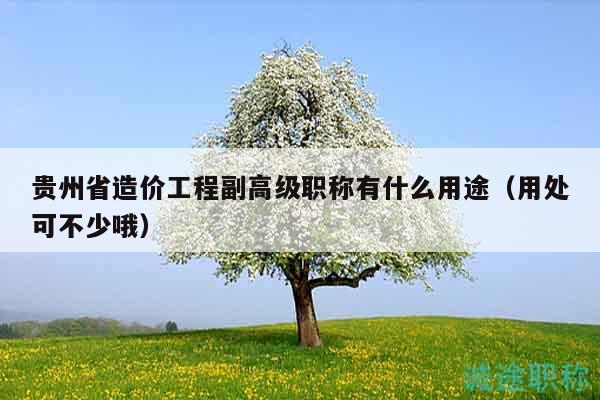 贵州省造价工程副高级职称有什么用途（用处可不少哦）