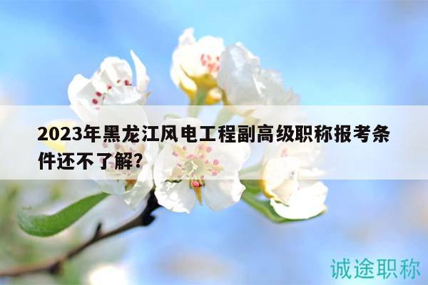 2023年黑龙江风电工程副高级职称报考条件还不了解？