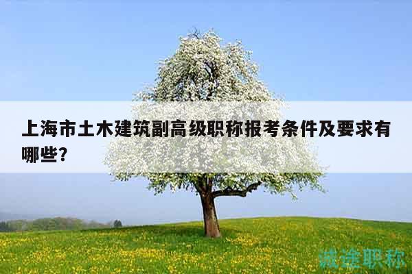 上海市土木建筑副高级职称报考条件及要求有哪些？