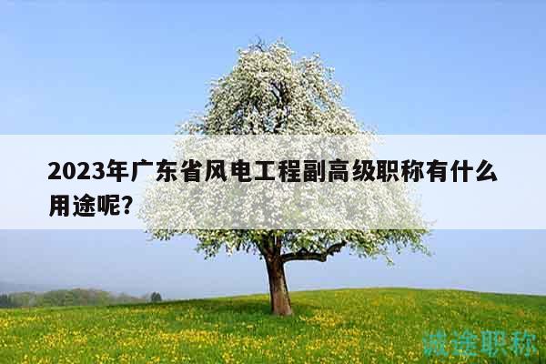 2023年广东省风电工程副高级职称有什么用途呢？