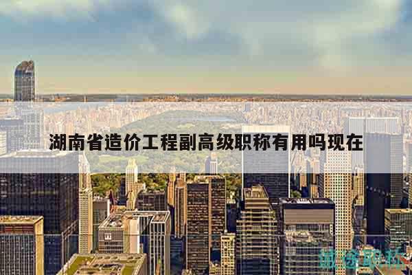湖南省造价工程副高级职称有用吗现在