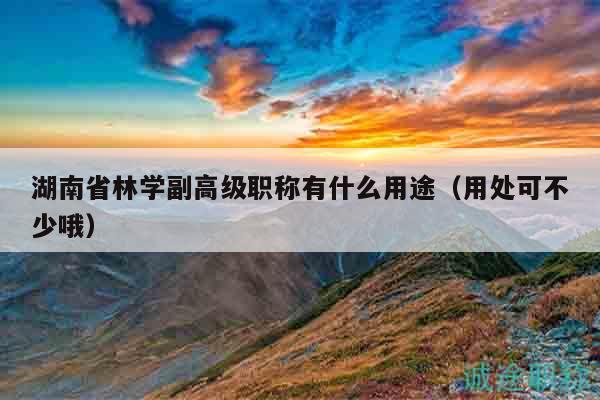 湖南省林学副高级职称有什么用途（用处可不少哦）
