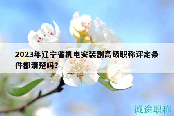 2023年辽宁省机电安装副高级职称评定条件都清楚吗？