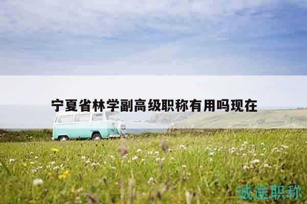 宁夏省林学副高级职称有用吗现在