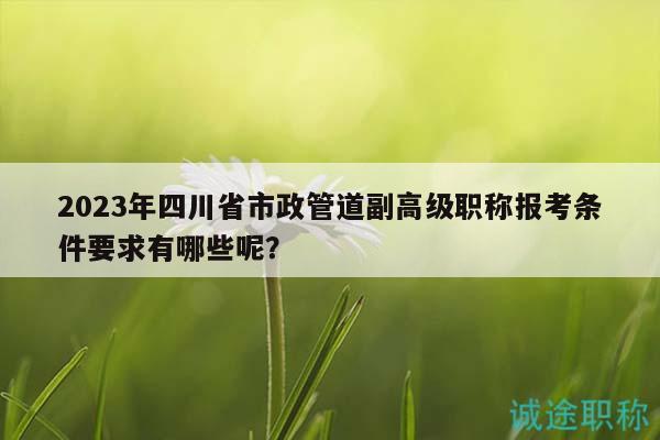 2023年四川省市政管道副高级职称报考条件要求有哪些呢？