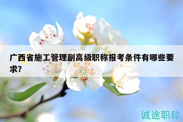 广西省施工管理副高级职称报考条件有哪些要求？