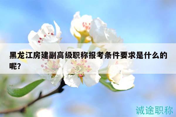 黑龙江房建副高级职称报考条件要求是什么的呢？