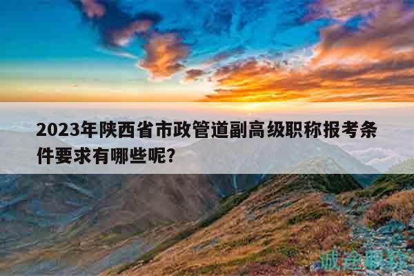2023年陕西省市政管道副高级职称报考条件要求有哪些呢？