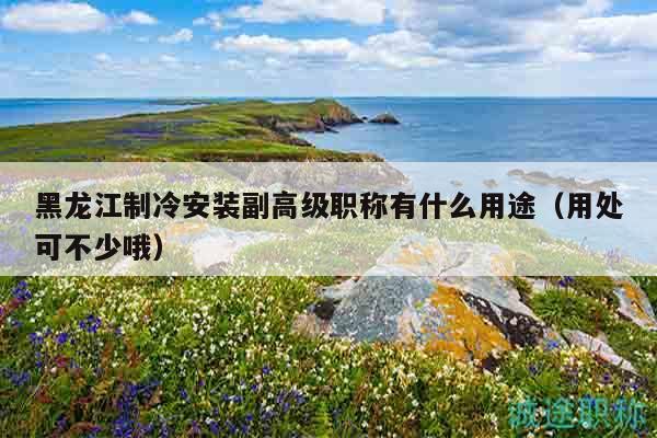 黑龙江制冷安装副高级职称有什么用途（用处可不少哦）