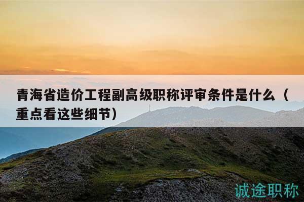 青海省造价工程副高级职称评审条件是什么（重点看这些细节）