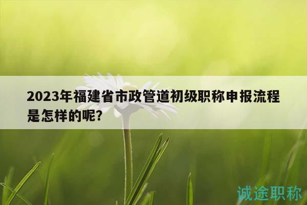 2023年福建省市政管道初级职称申报流程是怎样的呢？