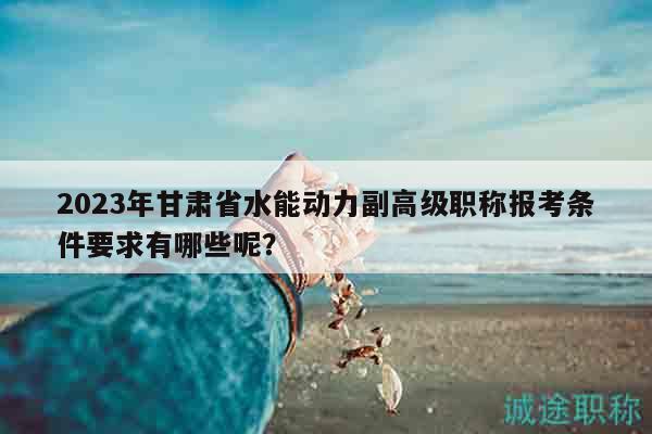 2023年甘肃省水能动力副高级职称报考条件要求有哪些呢？