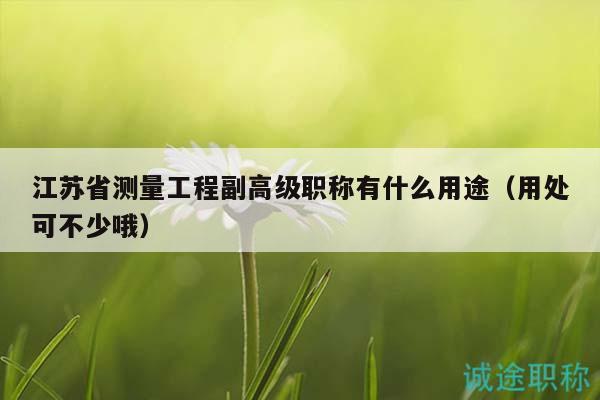 江苏省测量工程副高级职称有什么用途（用处可不少哦）