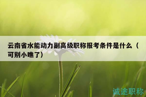 云南省水能动力副高级职称报考条件是什么（可别小瞧了）