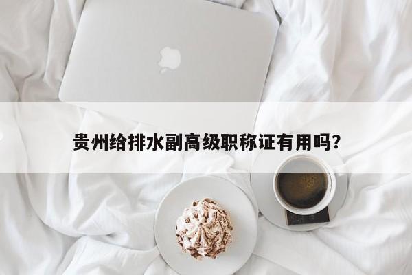 贵州给排水副高级职称证有用吗？