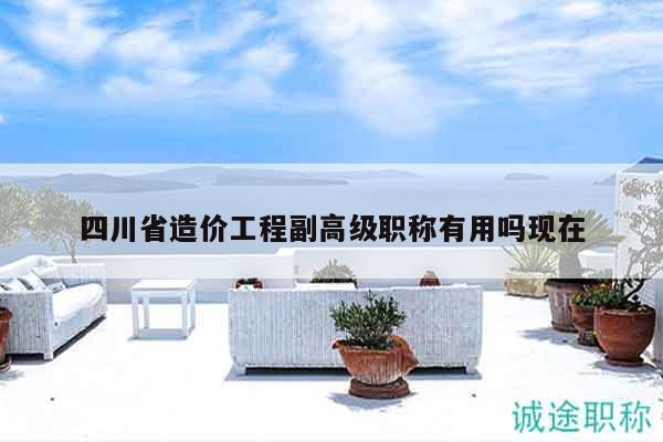 四川省造价工程副高级职称有用吗现在